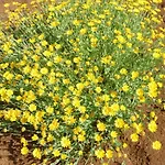 Aecolibrium Alojamento de Acomodação e Pequeno-almoço 4*