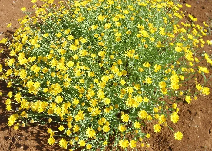 Aecolibrium Bed & Breakfast 4*